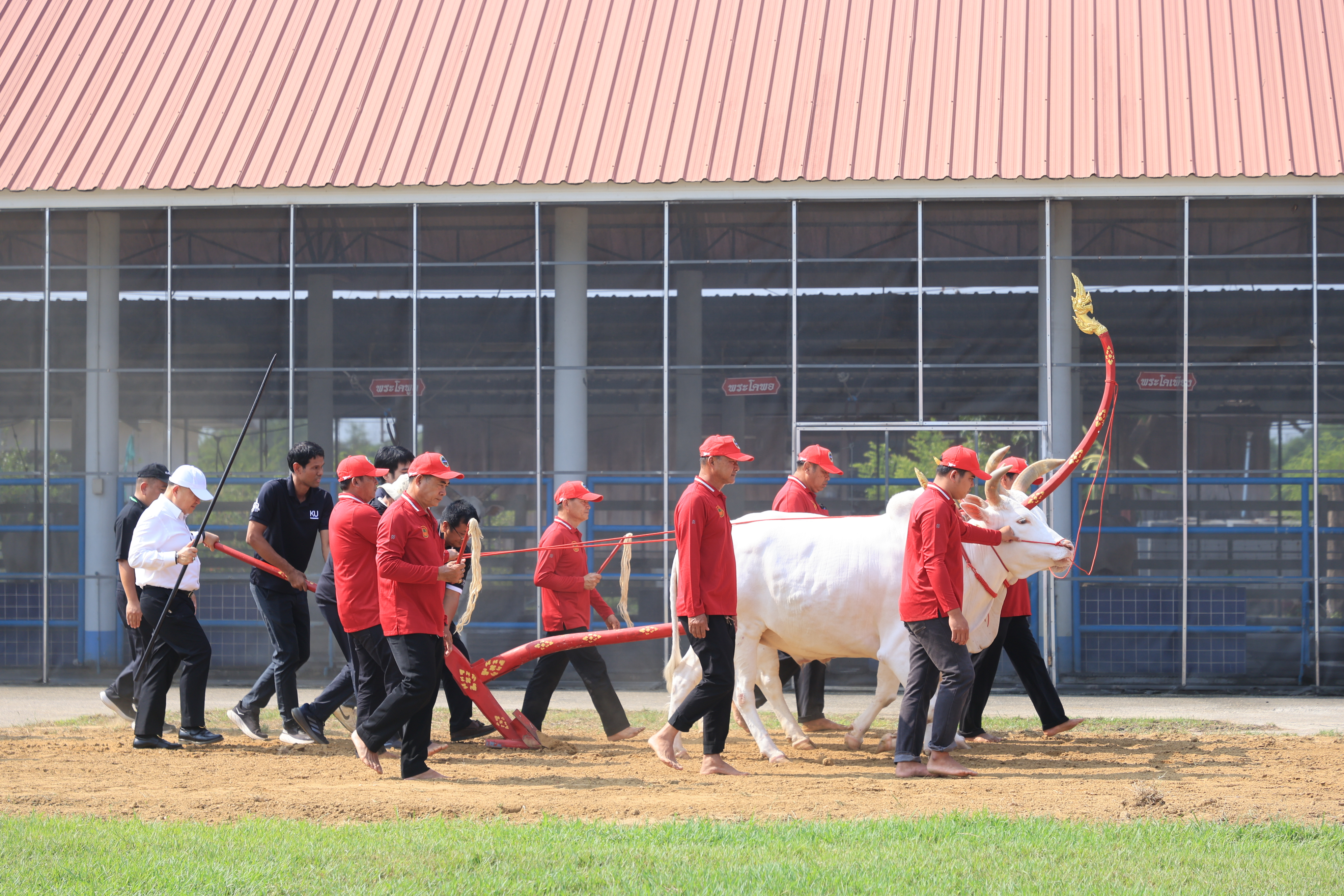 title - ส.ป.ก. เข้าร่วมการตรวจเยี่ยมการจัดเตรียมพระโค ในงานพระราชพิธีพืชมงคลจรดพระนังคัลแรกนาขวัญ ประจำปี 2569